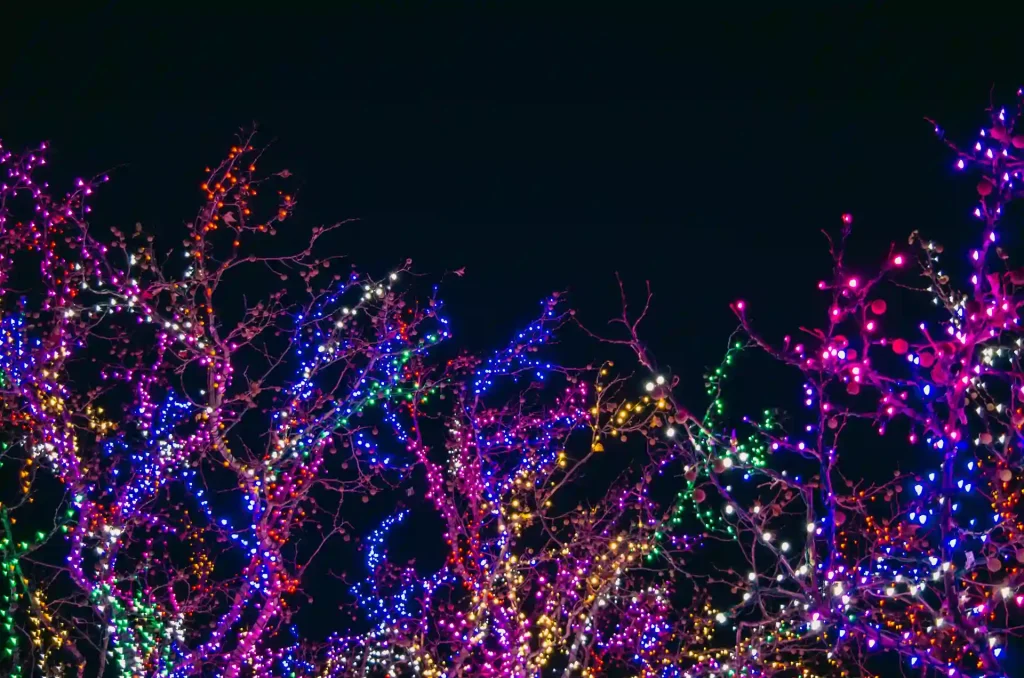 Colorful Christmas lights wrapped around tree branches, glowing beautifully against a dark night sky.